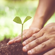 How to Manage Soil Fertility