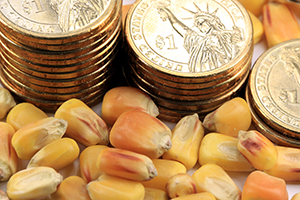 corn-future.jpg