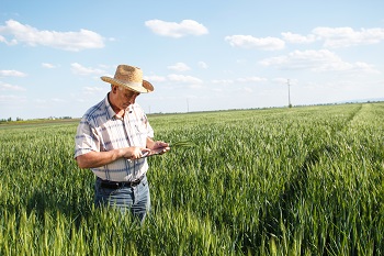 farmer-ipad-field.jpg