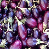 eggplant-fertilizer-recommendation.jpg