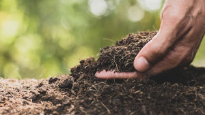 take the soil fertility course