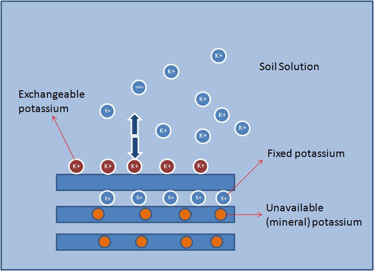Potassium in Soil