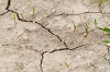 Soil Salinity