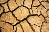 How to Prevent and Manage Soil Salinity