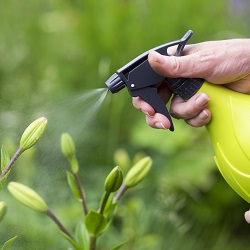 Fertilización Foliar