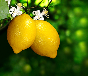 Citrus.png