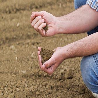 5 Parámetros Importantes en Su Análisis de Suelo