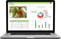 almond-laptop-screen-new-dashboard-background-trans.png