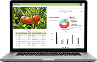 tomato-laptop-screen-new-dashboard-background-trans.png