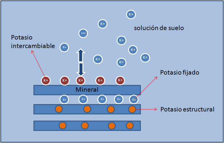 El potasio en el suelo