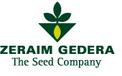 Gedera Seeds Gedera Seeds