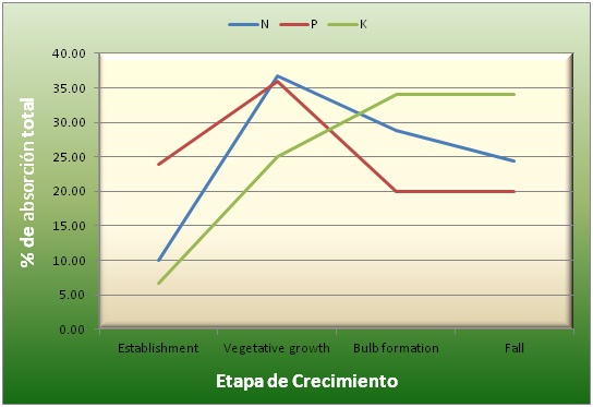 Absorción de nutrientes en diferentes etapas de crecimiento 