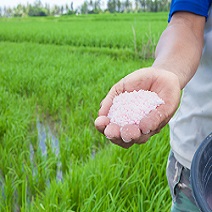 fertilizer_recommedations.jpg