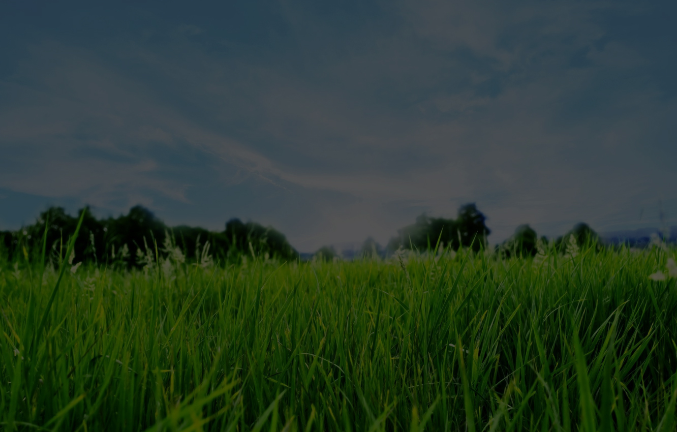 Smart Fertilizer Software Application