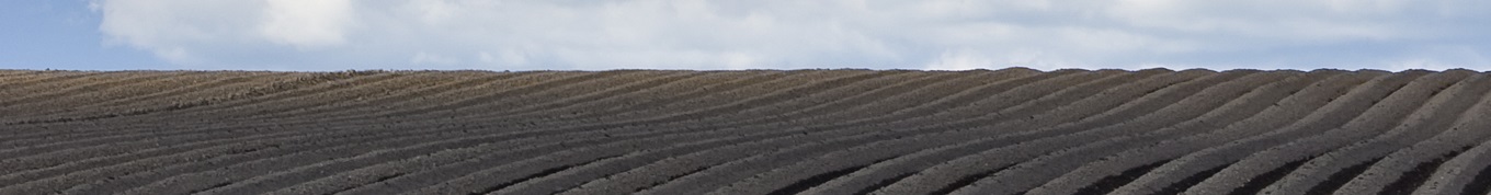 Soil fertility