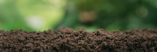 Aluminum in Soil